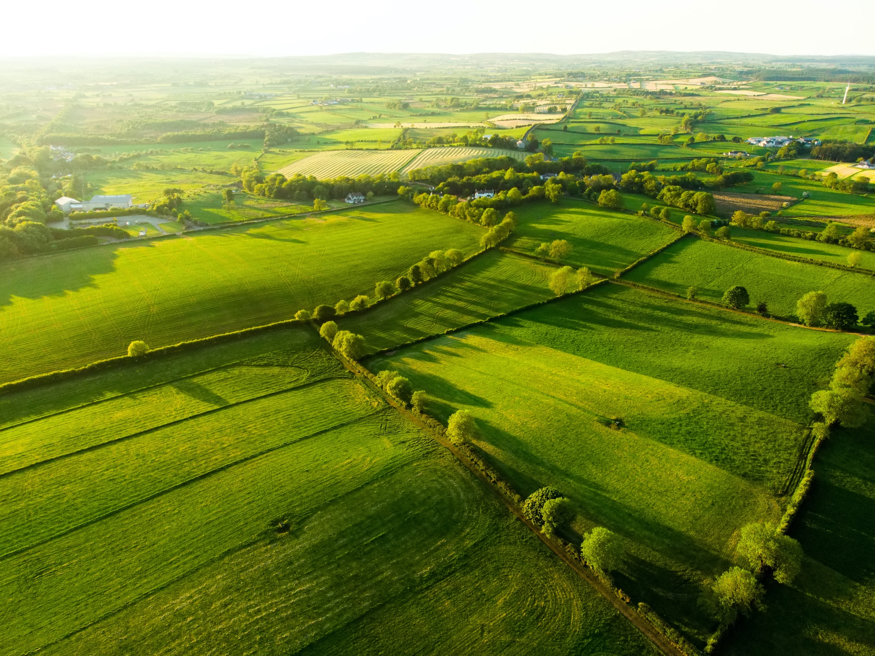 Ireland Green Landscape