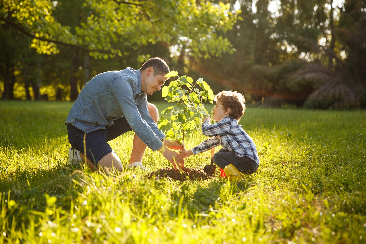 Father and Son Planting Tree