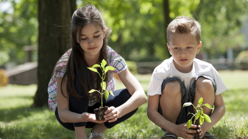 tree_planting 1