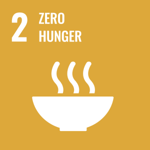 UN SDG icon