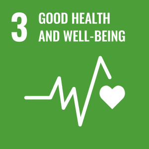 UN SDG icon