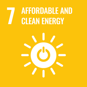 UN SDG icon