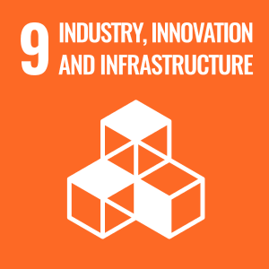 UN SDG icon