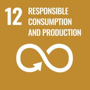 UN SDG icon