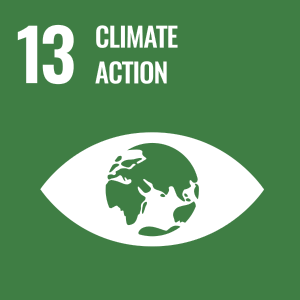 UN SDG icon