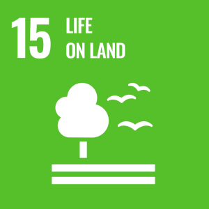 UN SDG icon